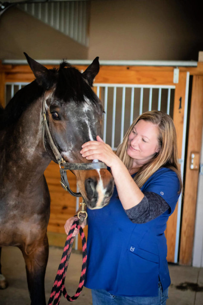 A vet tech pets a horse prior to an oral exam.